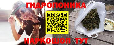 винт Бердск