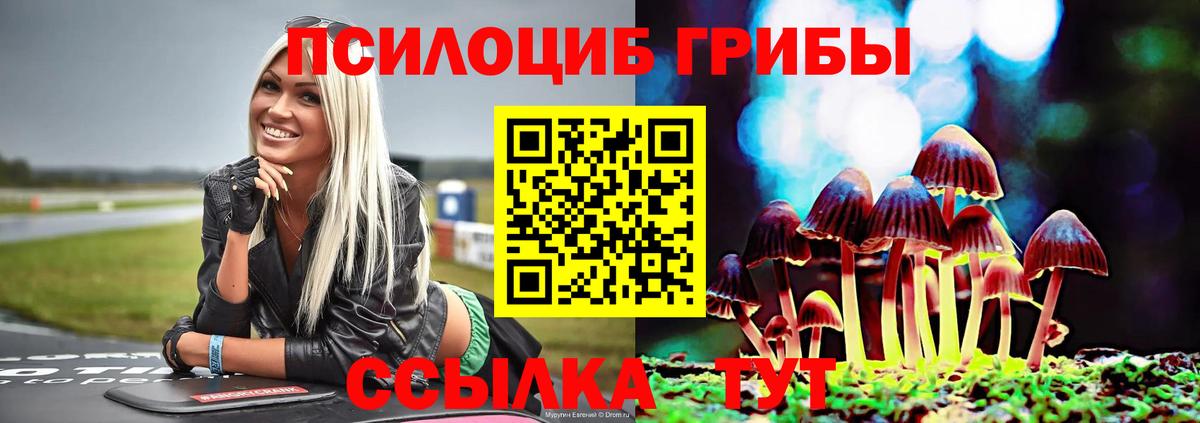 Галлюциногенные грибы GOLDEN TEACHER  Галлюциногенные грибы Cubensis  Корсаков  Вход с VPN 